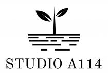 STUDIO A114