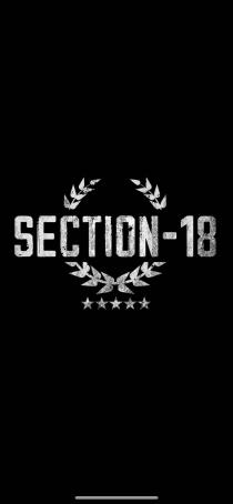 SECTION-18