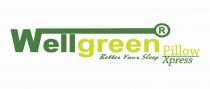 WELLGREEN BETTER YOUR SLEEP PILLOW XPRESS