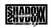 Shadow Boxing (Consistency is Key)