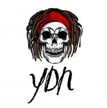 YDN