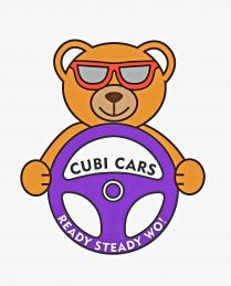 CUBI CARS READY STEADY WO!