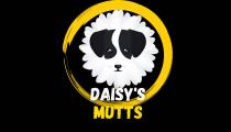 DAISY'S MUTTS