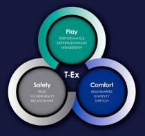 T-EX PLAY PERFORMANCE EXPERIMENTATION MEMBERSHIP SAFETY TRUST VULNERABILITY RELATIONSHIP COMFORT BOUNDARIES DIVERSITY STRETCH