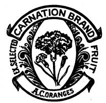 Carnation Brand