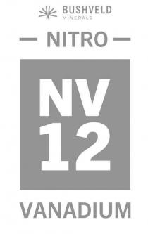 BUSHVELD MINERALS NITRO NV 12 VANADIUM