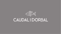 CAUDAL & DORSAL