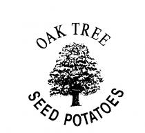 OAK TREE SEED POTATOES