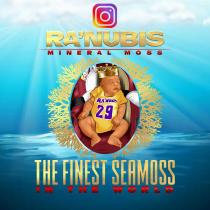 RA'NUBIS MINERAL MOSS (7) RA'MUNIS 29 THE FINEST SEAMOSS N THE WORLD