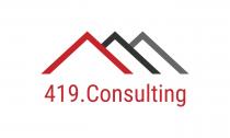 419.CONSULTING