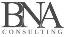 BNA CONSULTING