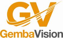 GV GEMBA VISION