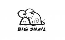 BIG SNAIL