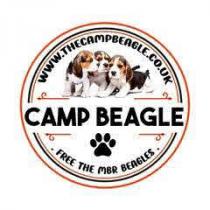 WWW.THECAMPBEAGLE.CO.UK CAMP BEAGLE FREE THE MBR BEAGLES