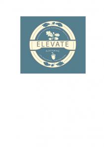 ELEVATE PLASTERING MODERN & DOMESTIC PLASTERING PARGETTING LIME PLASTERING HERITAGE WORK