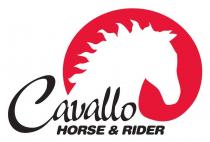 CAVALLO HORSE & RIDER