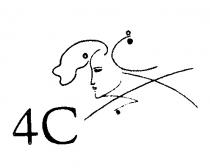 4C