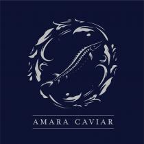 AMARA CAVIAR