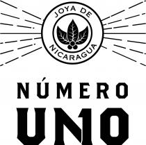 JOYA DE NICARAGUA NÚMERO UNO