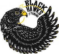 BLACK HAWKS OF PANAMA