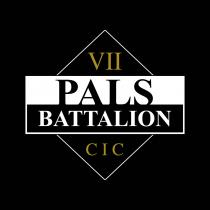 VII PALS BATTALION CIC