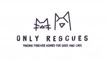 ONLY RESCUES FINDING FOREVER HOMES FOR DOGS AND CATS