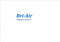 BRI-AIR VALIDATION SERVICES