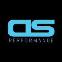 DS PERFORMANCE