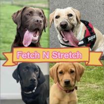 Fetch N Stretch