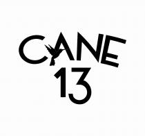 CANE 13