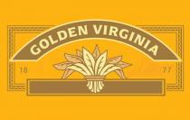 GOLDEN VIRGINIA 18 77