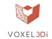 VOXEL 3DI