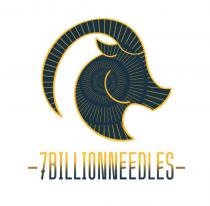 -7BILLIONNEEDLES-