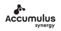 ACCUMULUS SYNERGY