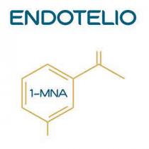 ENDOTELIO 1-MNA