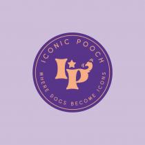 Iconic Pooch where dogs become icons