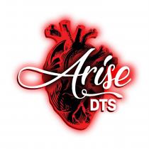 ARISE - DTS