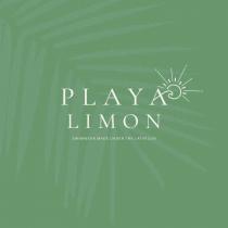 PLAYA LIMON SWIMWEAR MADE UNDER THE LATIN SUN