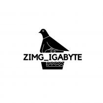 ZIMG_IGABYTE