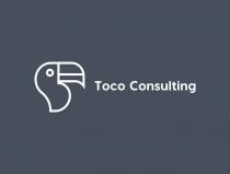 TOCO CONSULTING