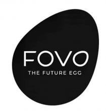 FOVO THE FUTURE EGG