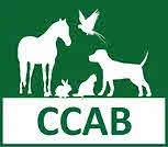 CCAB