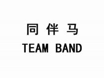 同伴马 TEAM BAND