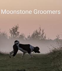 Moonstone Groomers