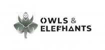 OWLS & ELEPHANTS