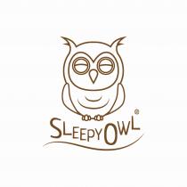 SLEEPY OWL