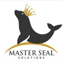 MASTER SEAL SOLUTIONS