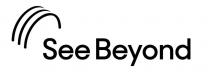 SEE BEYOND