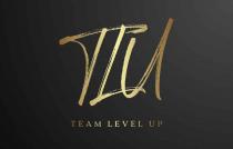 TEAM LEVEL UP