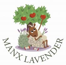 MANX LAVENDER